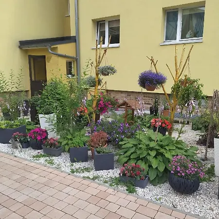Apartmán Mieszkanie / Centrum Blisko Szlakow I Wyciagow !!! *