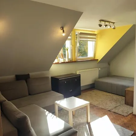 Mieszkanie / Centrum Blisko Szlakow I Wyciagow !!! Apartment