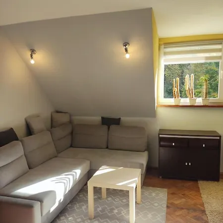Mieszkanie / Centrum Blisko Szlakow I Wyciagow !!! Apartmán