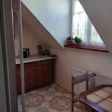 Mieszkanie / Centrum Blisko Szlakow I Wyciagow !!! Apartment *
