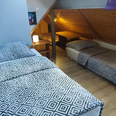 Apartment Mieszkanie / Centrum Blisko Szlakow I Wyciagow !!! *