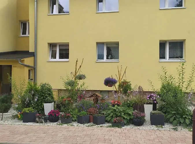 Mieszkanie / Centrum Blisko Szlakow I Wyciagow !!! Apartment