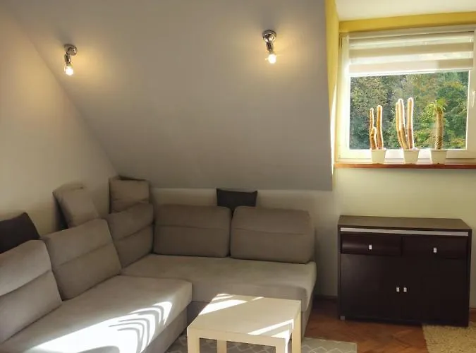 Mieszkanie / Centrum Blisko Szlakow I Wyciagow !!! Apartment