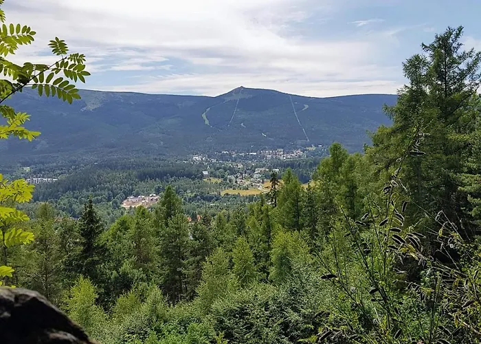 Apartment Mieszkanie / Centrum Blisko Szlakow I Wyciagow !!! *