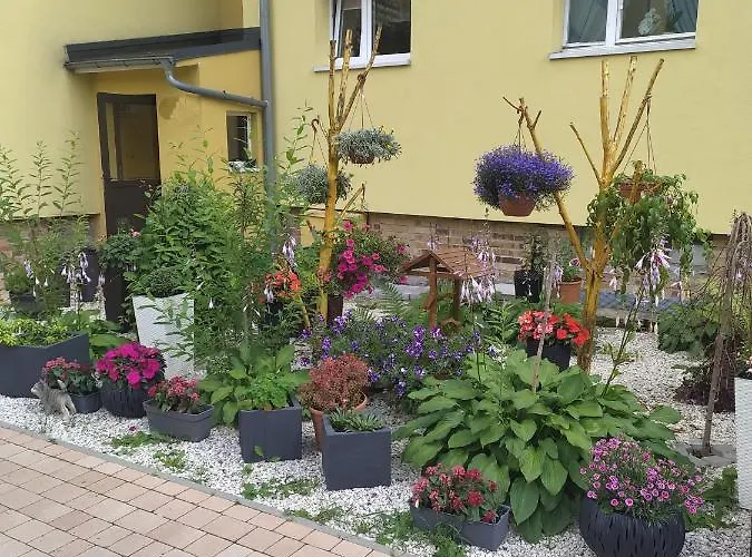 Apartment Mieszkanie / Centrum Blisko Szlakow I Wyciagow !!! *